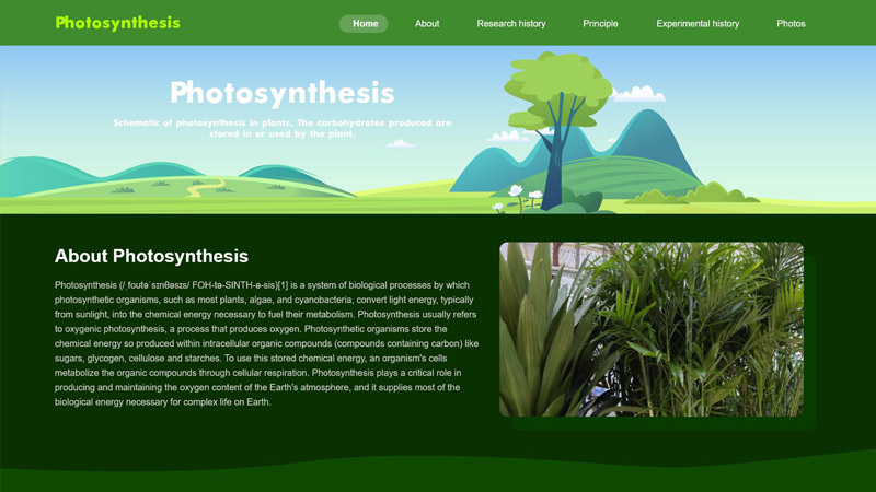 绿植网页原型高保真低保真维基百科拍摄策划整套6页